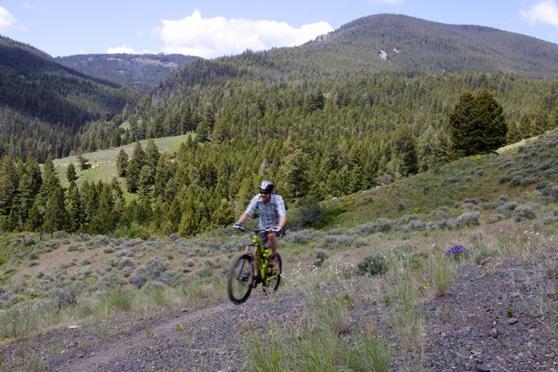 Heading to Perreau Creek on Horse Mountain Trail.  Powderhouse Gulch seen on the left.