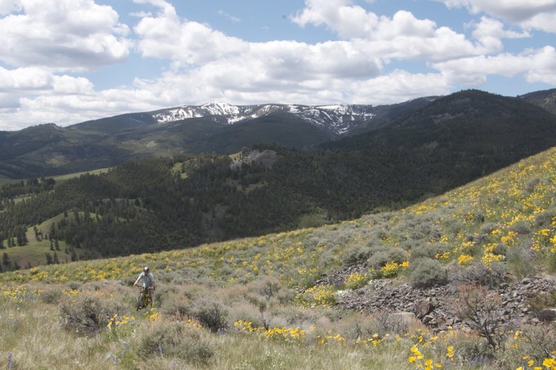 Eric climbing through spring wildflowers on the Horse Mountain Trail.  Lake Mountain in the background.