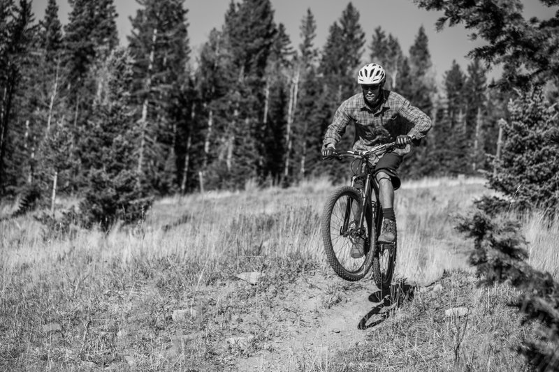 Floaty fun in the meadows of the South Boundary Trail. 
<br>

<br>
Awesome pic by Shari Heier / Taos Imagery