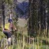 Through the Beargrass, the Divide Trail leaves the ridge and drops towards Hughes Creek.