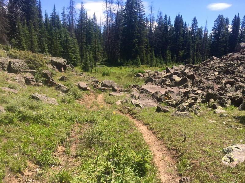 Grand Mesa is full of these seemingly random piles of lava rocks, like they fell from the sky.