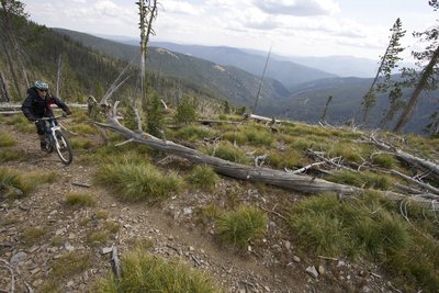 Riding the Divide #106 trail across the head of Twin Creek.