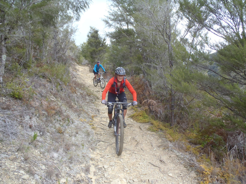 Starting the descent to Doom Creek bridge