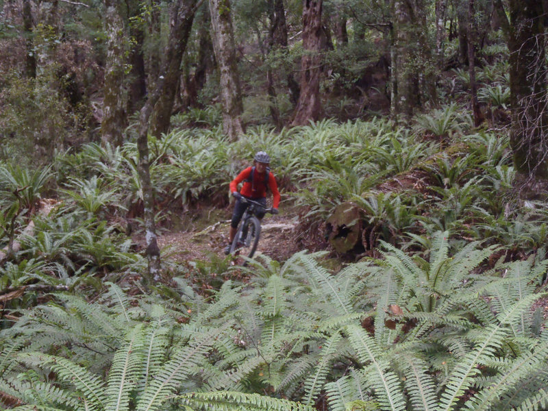 One of the easier switchbacks