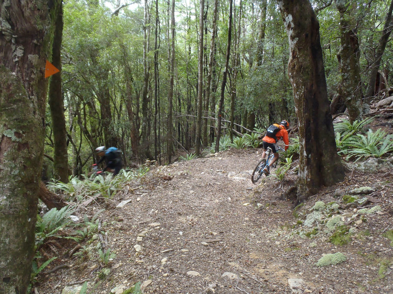 Descending to the last creek where water is available