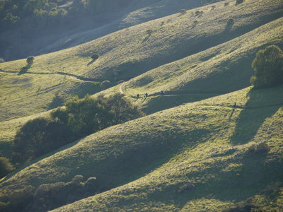 The fun and flowy part near the bottom.