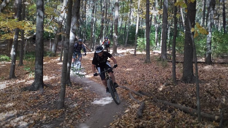 Jason O'Young weaving between the trees on Stonehouse with Mark Morgan and Rick Nestor.