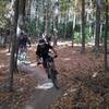 Jason O'Young weaving between the trees on Stonehouse with Mark Morgan and Rick Nestor.