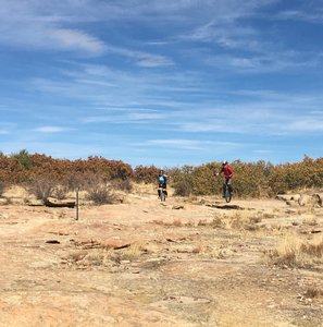 Great trail for mountain unicycling.