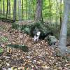 Looking uphill (reverse direction of travel). Large car-sized boulder with armored entry and exit ramps.  Can be easily rolled.  Sometimes ramp rocks are a little loose.  Border Collie shown for scaling purposes.