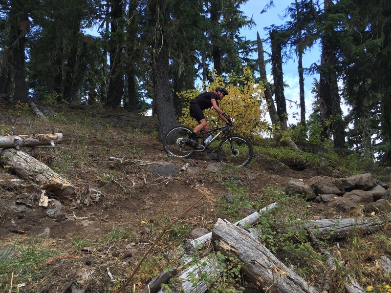 Nice tight switchbacks and evidence of recent trail work!