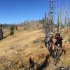 Regroup after traversing Chucksney meadow.