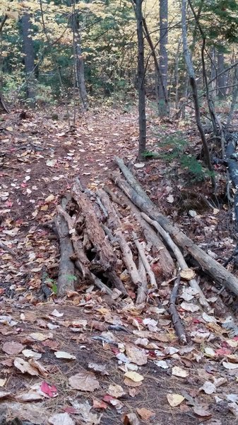 Logjam Bridge