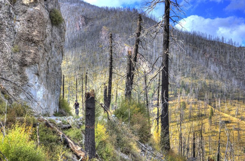 Riding through the 2010 Shultz Fire burn area