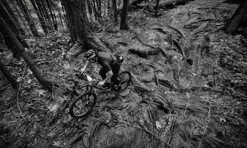 Michael Cunningham tackles a few of the many roots on the Upper Ridge Trail.