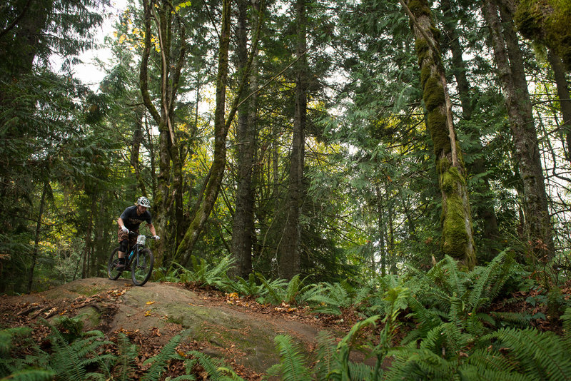 Kelend Hawks rides over a slab of sandstone on the Upper Ridge Trail.