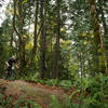 Kelend Hawks rides over a slab of sandstone on the Upper Ridge Trail.