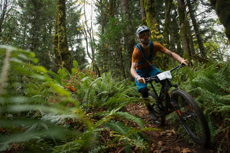 Ian Schmitt racing between the ferns on the Upper Ridge Trail.