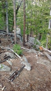 Run up to the gully. This and the gully are the hardest part.