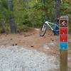 Looking at the entrance and exit of Burnside Trail. Enter and turn to the left as the trail runs clockwise. Look for the red reflectors on trees as trail markers along the way. The entrance to Early Trail is on up the logging road at the top of the hill.