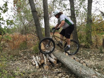 One of a few log piles on the trail.