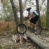 One of a few log piles on the trail.