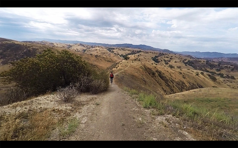 Fastest section of the trail, let it go during this section as the trail levels off after decline.