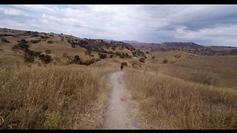 Ireland trail gets a little dusty and bumpy near the bottom, watch for hikers and animals, use a bell or sound indicator, and slow down to merge with the Las Virgenes main trail.