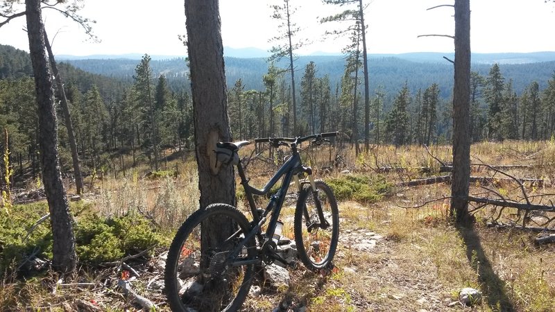 View of the Black Hills from the Victoria's Secret C-Cup trail.