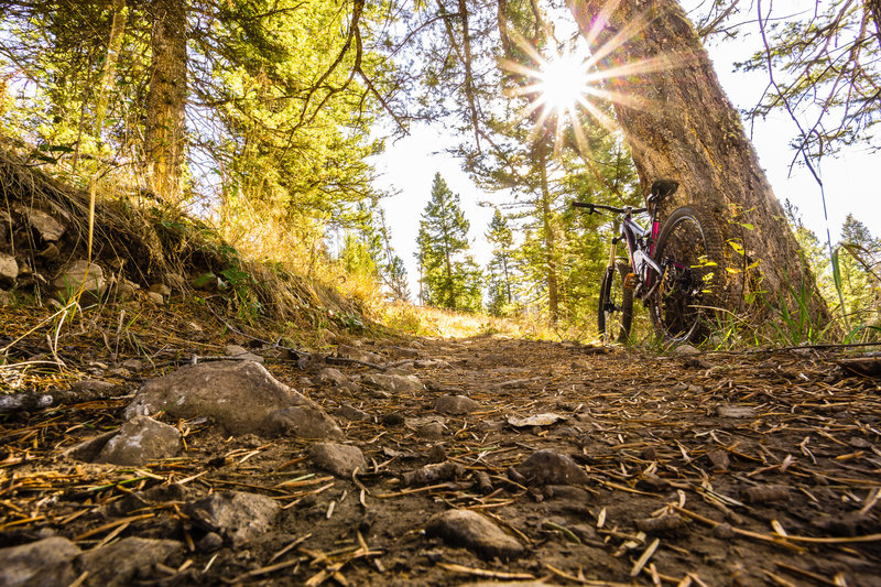 Classic late fall riding conditions on Game Creek.