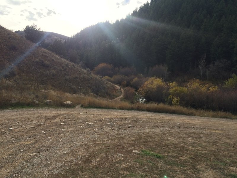 View of trailhead from the parking area.