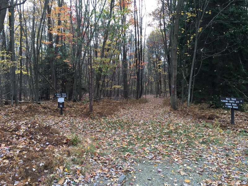 Intersection of Hall Trail and Hough Trail.