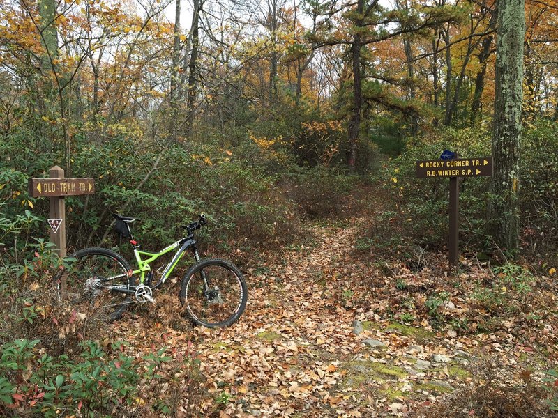 The staggered intersection with Rocky Corner Trail on Old Tram Trail.