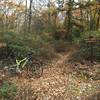 The staggered intersection with Rocky Corner Trail on Old Tram Trail.