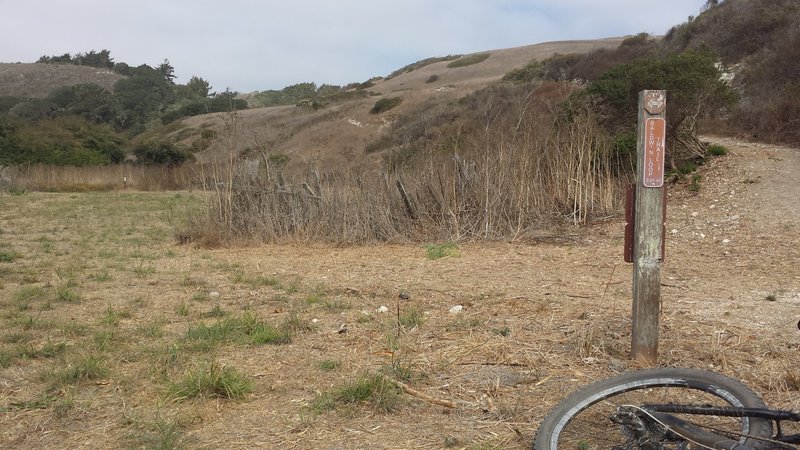 Bottom of Baldwin singletrack on the left and the start to your climb is at the right. Beautiful coastal hills ahead and nothing but big blue Pacific to your back