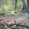 Eastbound on Turf; Climbing a left-hand rooty sweeper after a creek crossing.