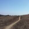 Looking down twin oaks trail from the top. Wind in the face ahead..