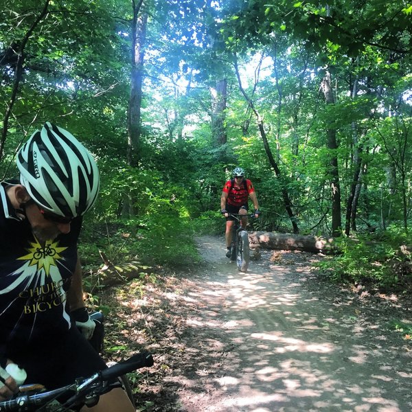 Riding through the Bullfrog lake trail. The trail opens up very nicely here with fantastic sight lines! And is stunning in fall.