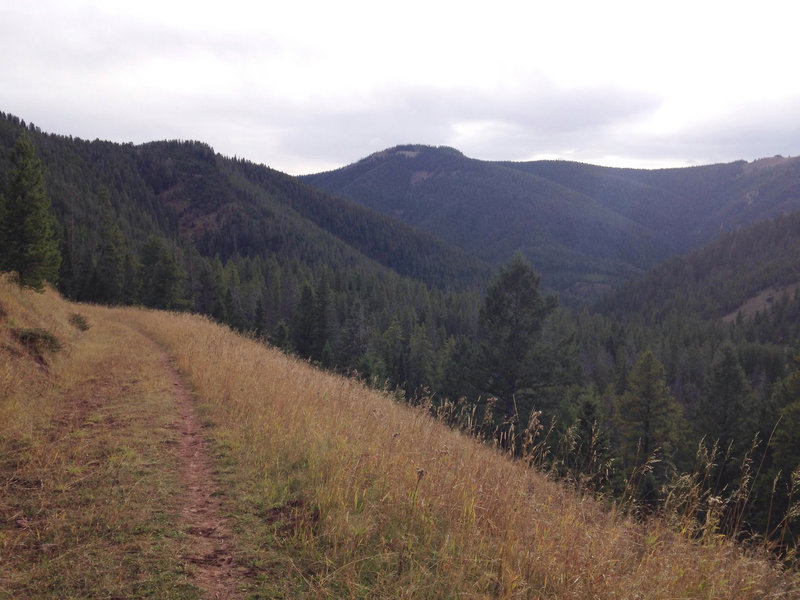 Looking south, right above the lake