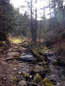 Don't let the pretty stream and flatish trail fool you... New World Gulch is awful.
