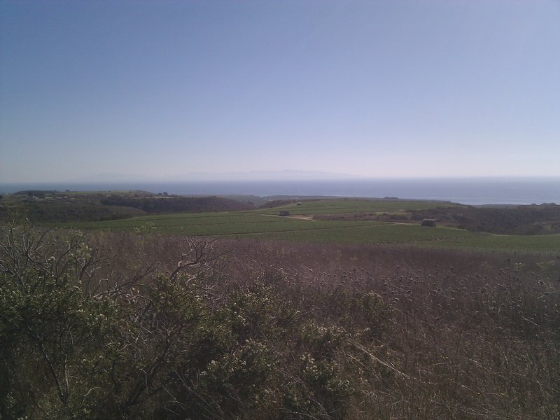 Mountain biking near Santa Cruz on the Baldwin Loop.