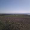 Mountain biking near Santa Cruz on the Baldwin Loop.