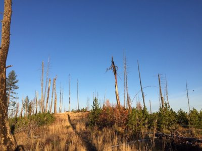 The high point near Howard Creek