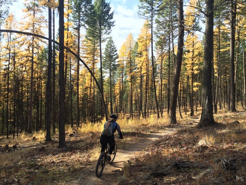 Fun singletrack above the parking lot