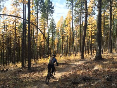 Fun singletrack above the parking lot