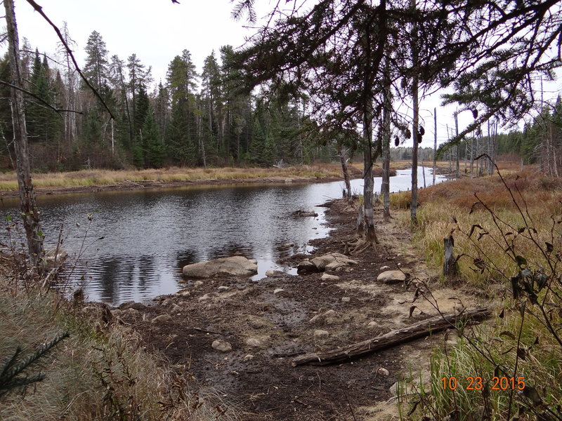 You might run into some marshes on La Brindille in St-Félicien Qc.