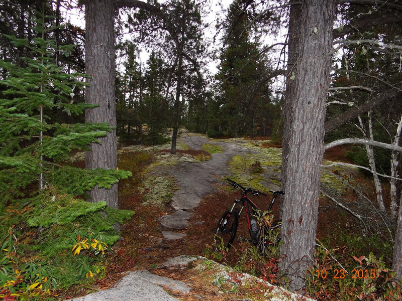 One of the fun obstacles on Le Plateau, St-Félicien Qc