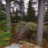 One of the fun obstacles on Le Plateau, St-Félicien Qc