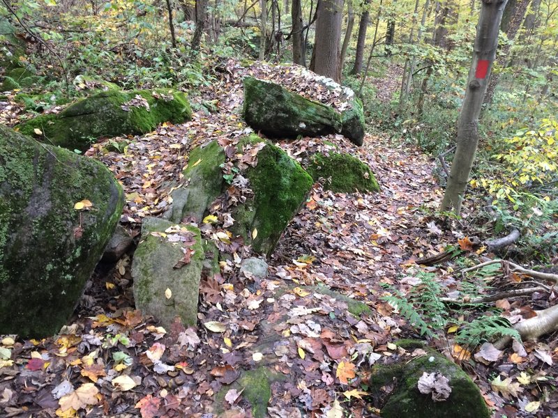 Pathfinding on Freeride Trail is more challenging in the fall.