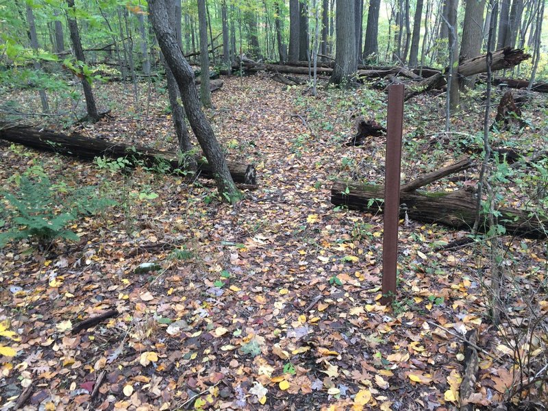 Freeride Trail Entrance